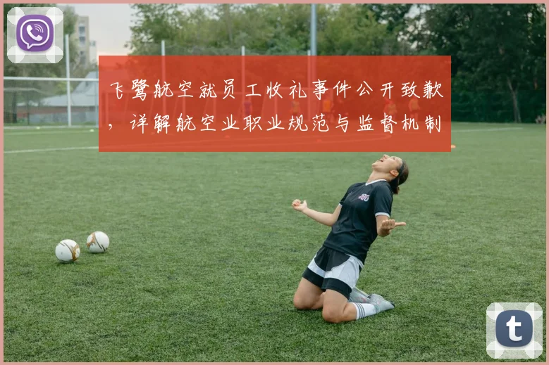 飞鹭航空就员工收礼事件公开致歉，详解航空业职业规范与监督机制