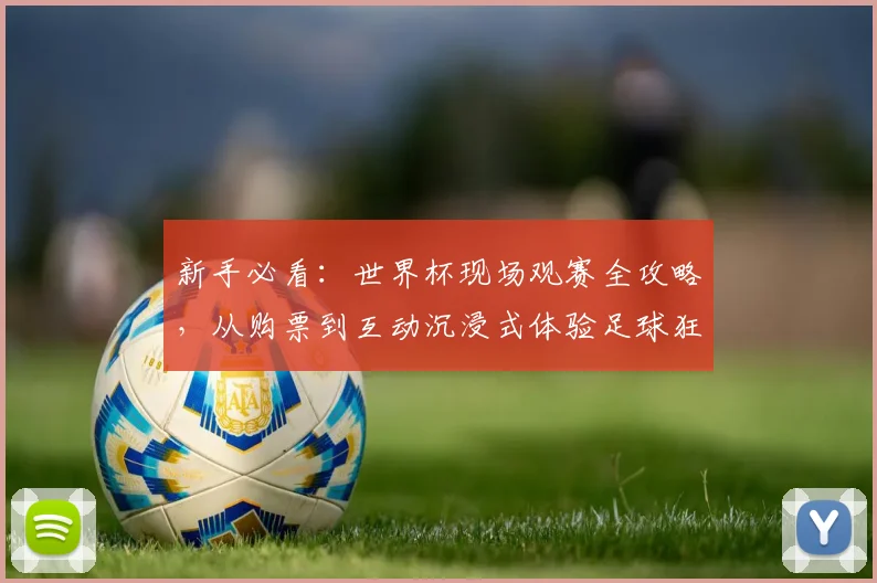 新手必看：世界杯现场观赛全攻略，从购票到互动沉浸式体验足球狂欢