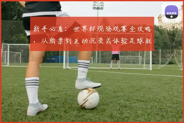 新手必看：世界杯现场观赛全攻略，从购票到互动沉浸式体验足球狂欢